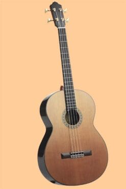 PS75 akoestische basgitaar