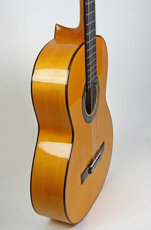 Amalio Burguet Flamenco
