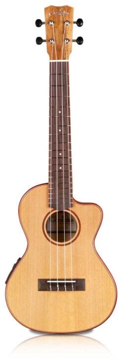 Cordoba 24T-CE