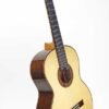 amalio ab spruce 2 1