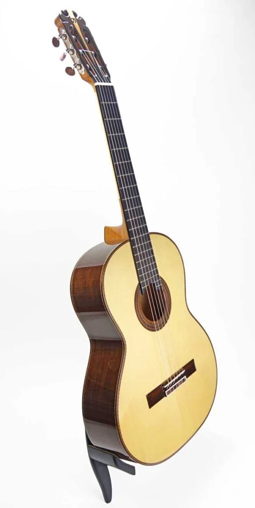 amalio ab spruce 2 1