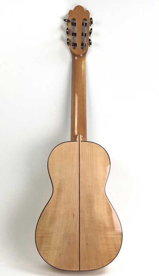 Torres77 maple back