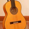 Esteve Flamenco 8F vuren