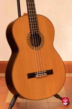 Esteve octaaf bass 4 string